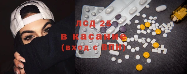 шишки Елизово