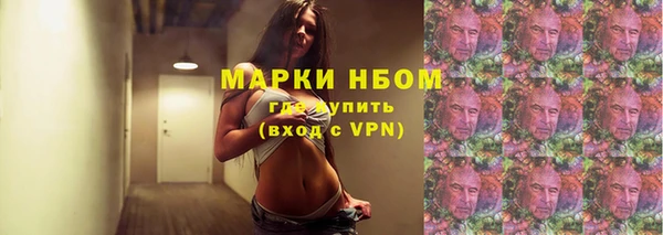 шишки Елизово