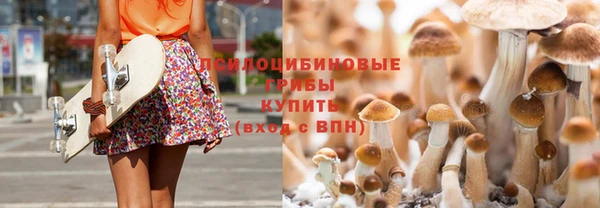 твердый Елабуга