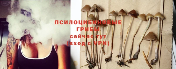 mix Ельня