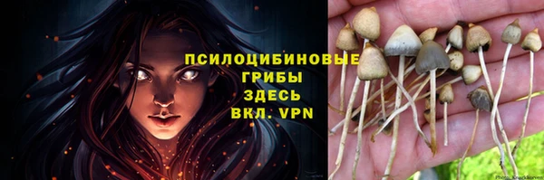 mix Ельня