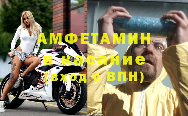 шишки Елизово