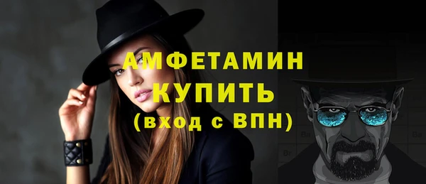 шишки Елизово