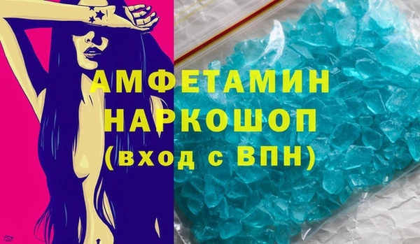 шишки Елизово