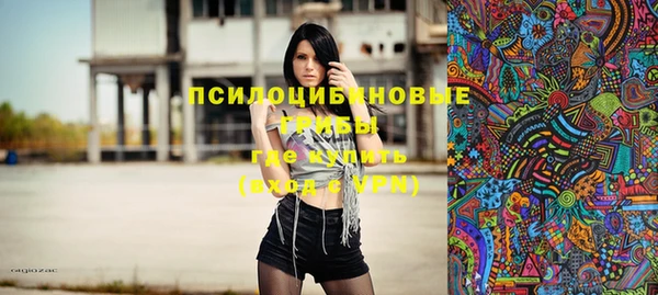 шишки Елизово