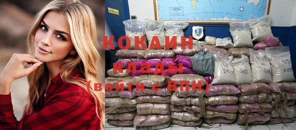 шишки Елизово