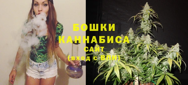 шишки Елизово