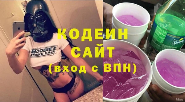 шишки Елизово