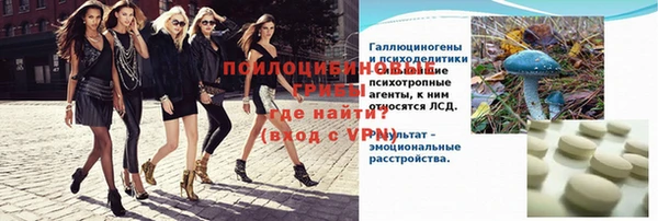 mix Ельня