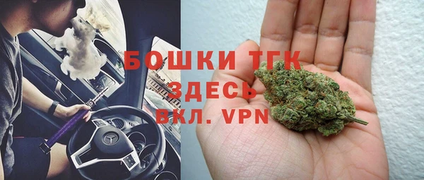 шишки Елизово