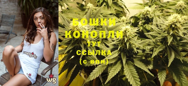 mix Ельня