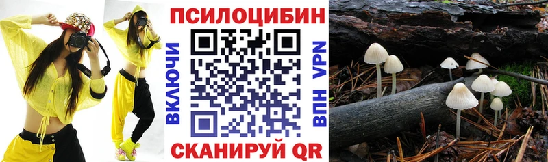 где купить наркоту Лабинск Псилоцибиновые грибы прущие грибы